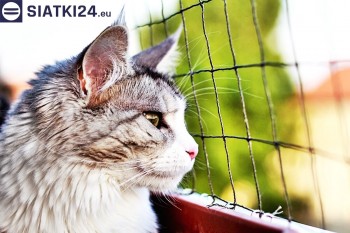 Siatki Iława - Siatka na balkony dla kota i zabezpieczenie dzieci dla terenów Iławy